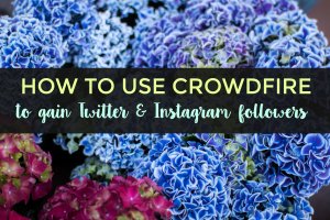 Use Crowdfire to gain Twitter and Instagram followers.