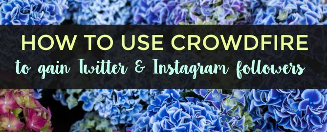 Use Crowdfire to gain Twitter and Instagram followers.
