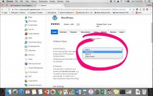 install WordPress