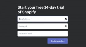 Shopify Account